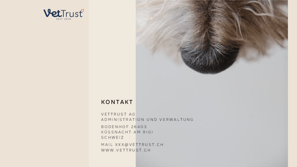 Individuelles Folienlayout für eine professionelle Unternehmenspräsentation
